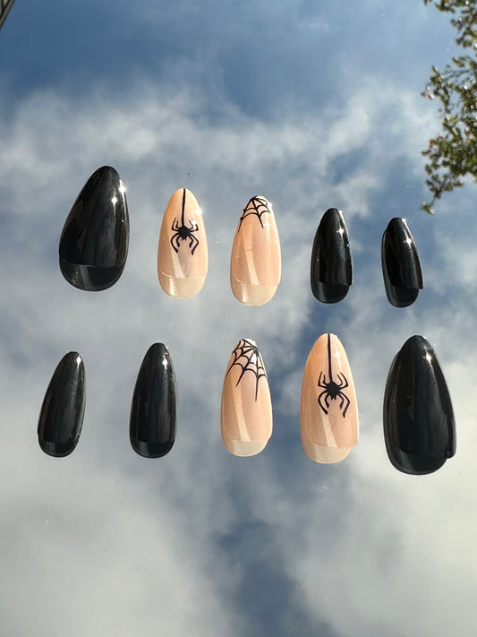 black spider